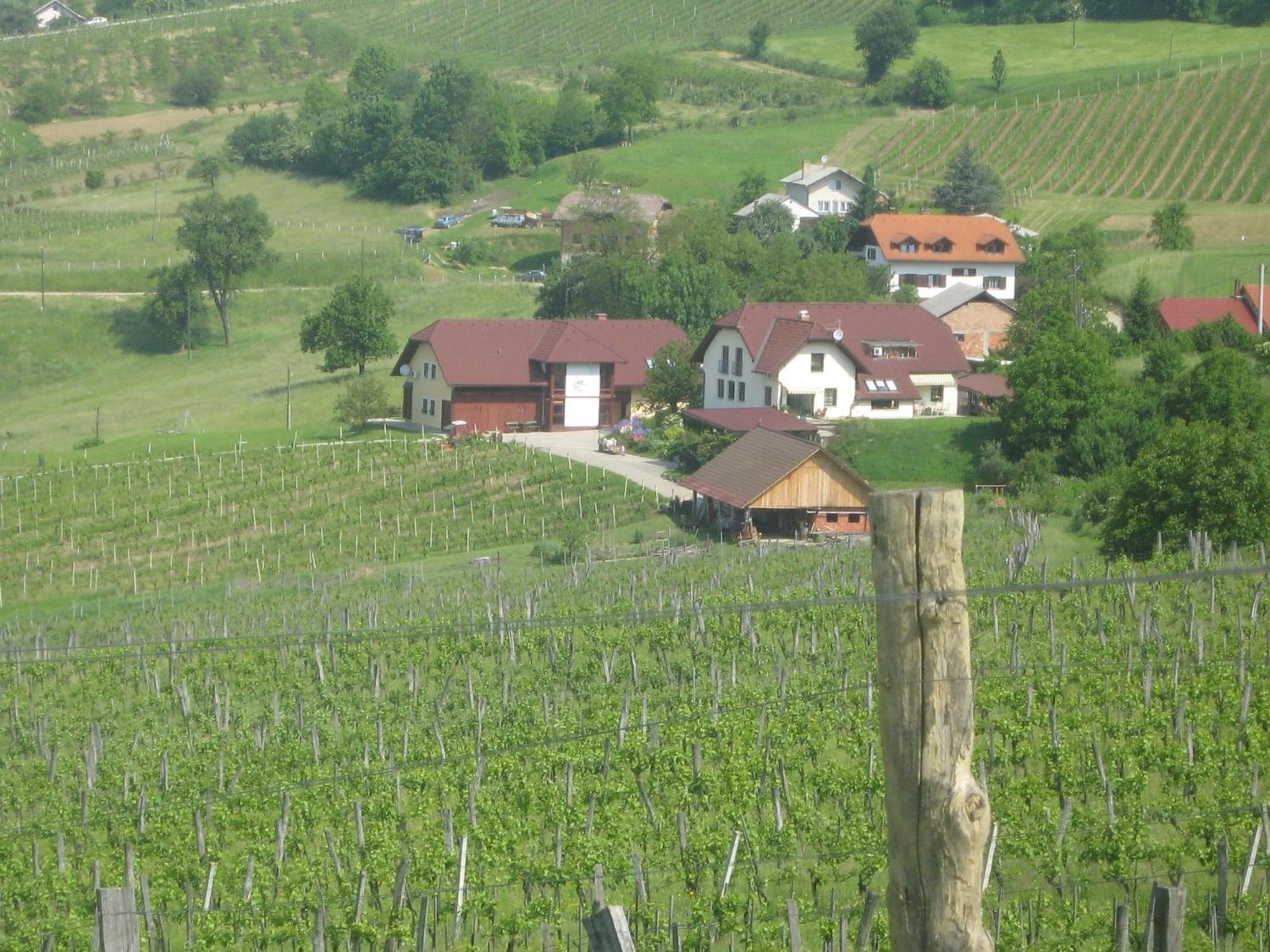 Tourist Farm Joannes Hotel Maribor Luaran gambar